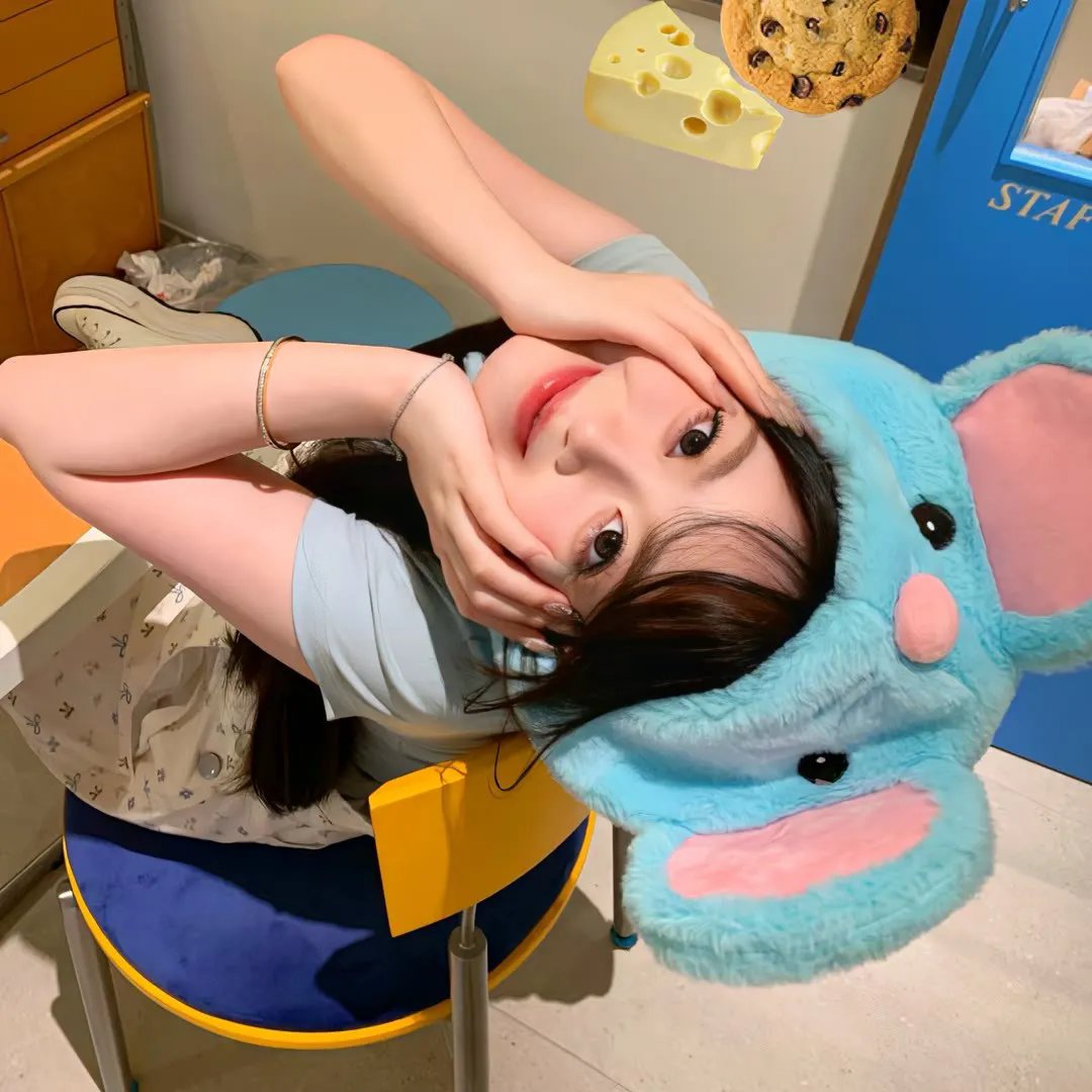 蛇和猫鼬