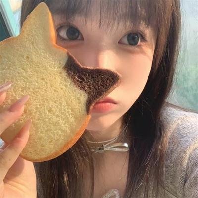 屋顶上的猫